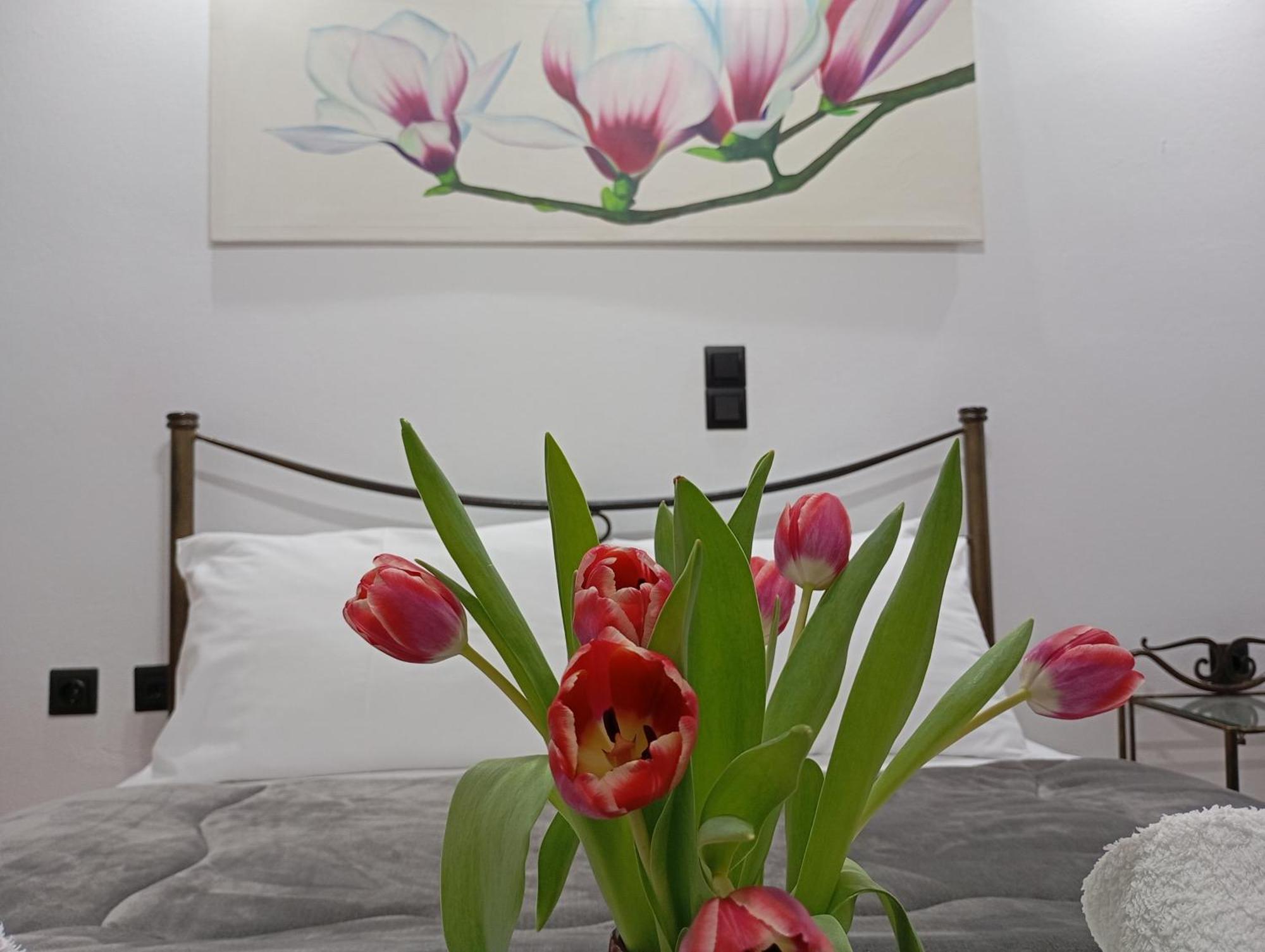 Vaso'S Appartments A Mesolóngion Zewnętrze zdjęcie